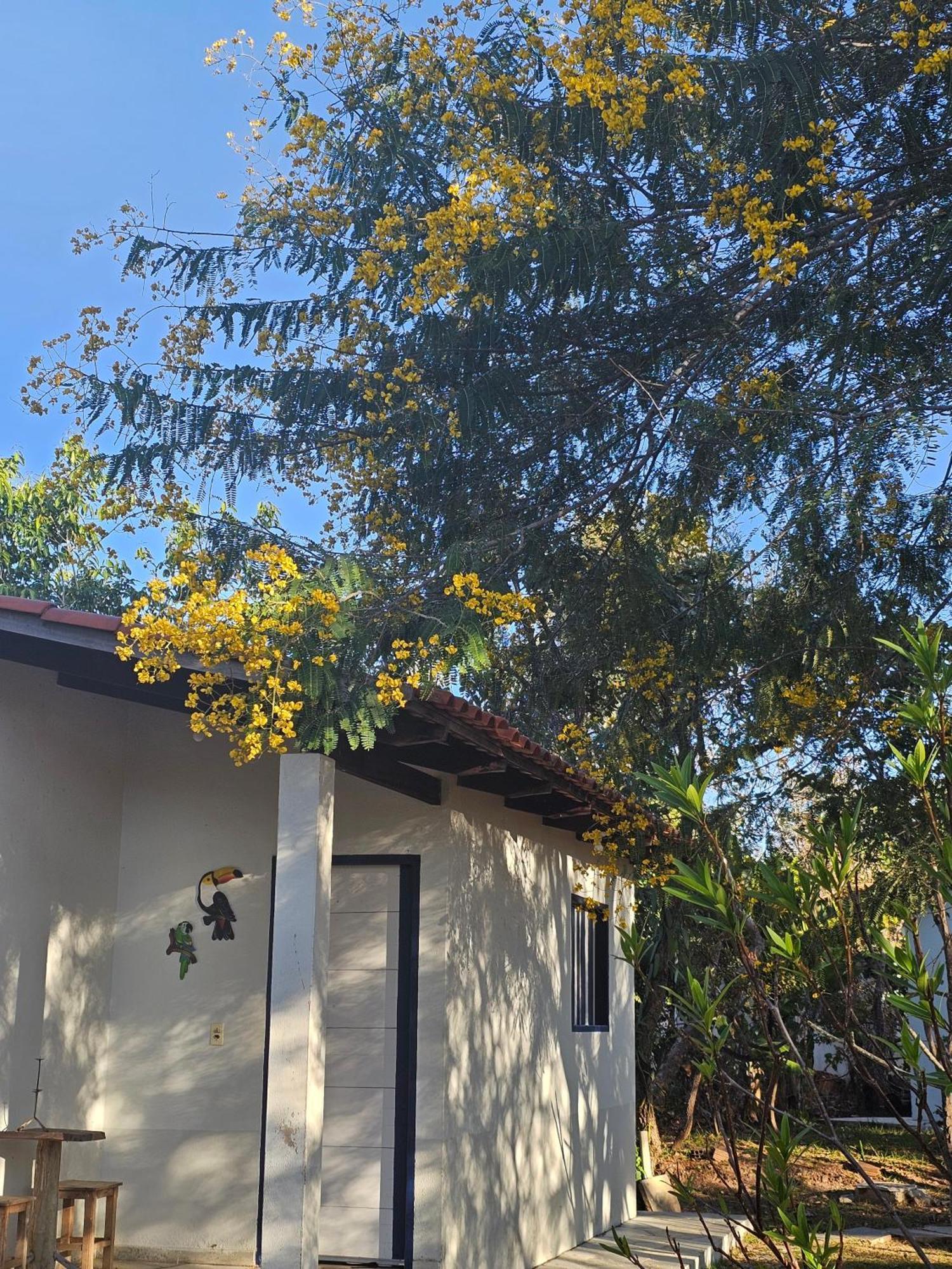 Estancia Morro Do Frota Pirenópolis Exteriör bild
